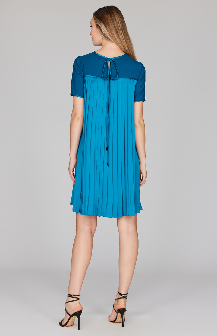 Short Sleeve Pleat Back Dress